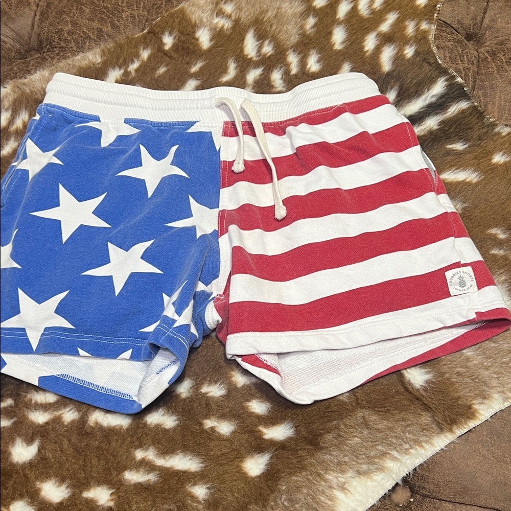 Chubbies‎ lounge wear American flag 5.5” #72 - Picture 2 of 4